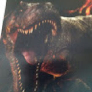 Meet your Posher, Mary grace